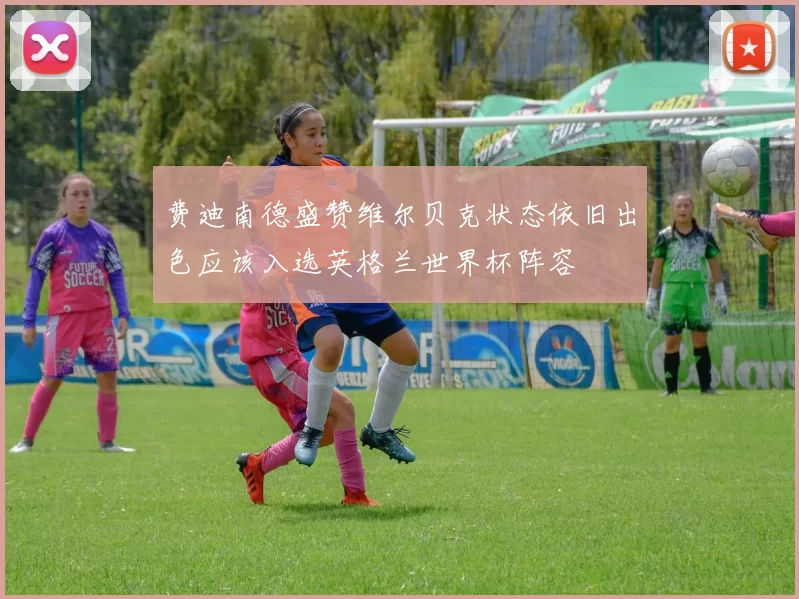 费迪南德盛赞维尔贝克状态依旧出色应该入选英格兰世界杯阵容